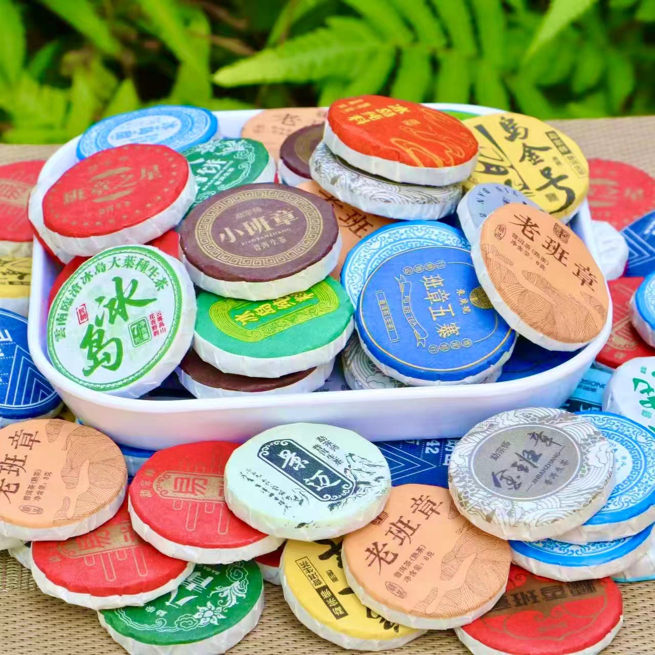 微信图片_20241015212514