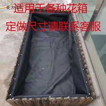 ����ľ����o�����ȴ�͸��͸ˮ�b�������đ��©����̖�Nֲ��̫��