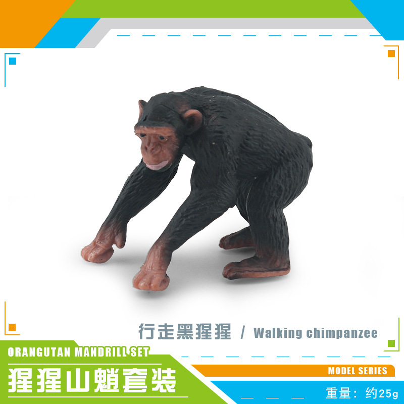 PL127-215 camina chimpancé 25g