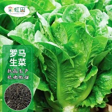 _Rֱ˷NӴȸ˷Nݴļ߲˷Nִ֧l