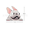 Retroreflective transport, cartoon glossy sticker, internet celebrity, pet