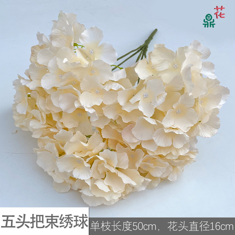 Five -headed hosem ls champagne color