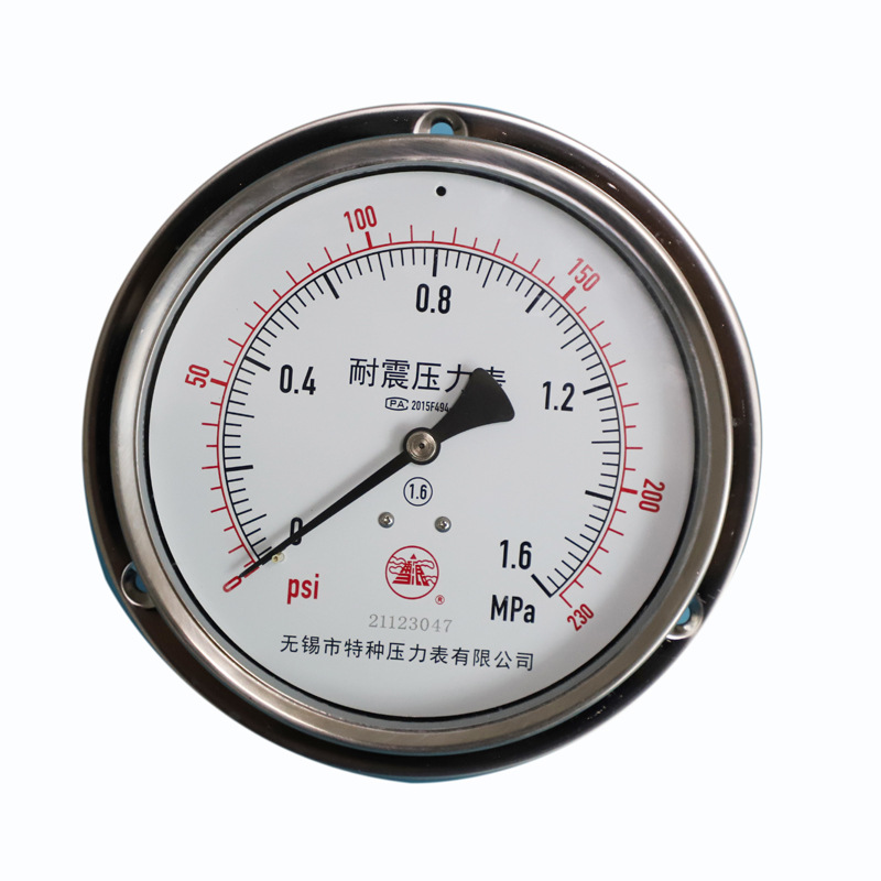 雪浪特种仪表 耐震轴向带边螺纹不锈钢压力表1.6级精密