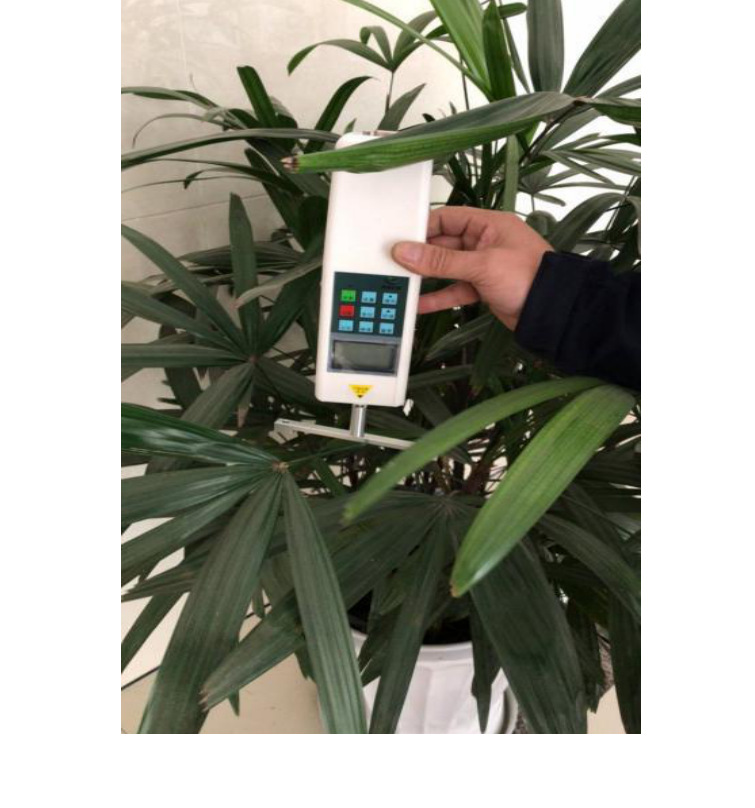 LS-1S植物抗倒伏测定仪0.-500N