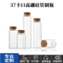 多肉手工种植37mm管制瓶
