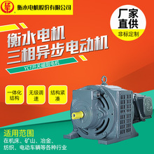 衡水猛牛电机YCT-80M1-2 0.75KW开关磁阻调速电机全铜线圈代理商