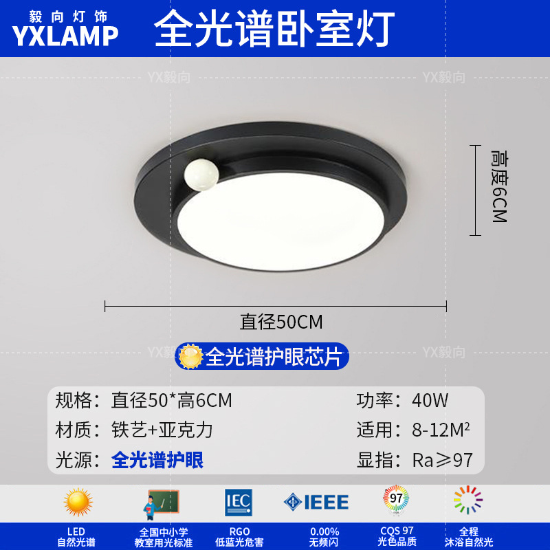 Luz de techo minimalista italiana sala de estar luz principal LED atmósfera creativa simple negro de alto nivel protección de ojos lámpara de dormitorio principal