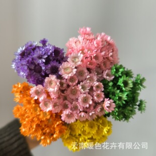 ����С�ǻ��ɻ�����С�r����Ϯa��ֱ�l�ɻ�����ƿ�ֹ�DIY����