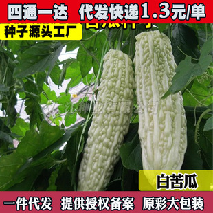 �߲˷N�Ӵ�����ϷN�Ӱ��������L�׿�����̨ͥԺ�Nֲ���ϷN��