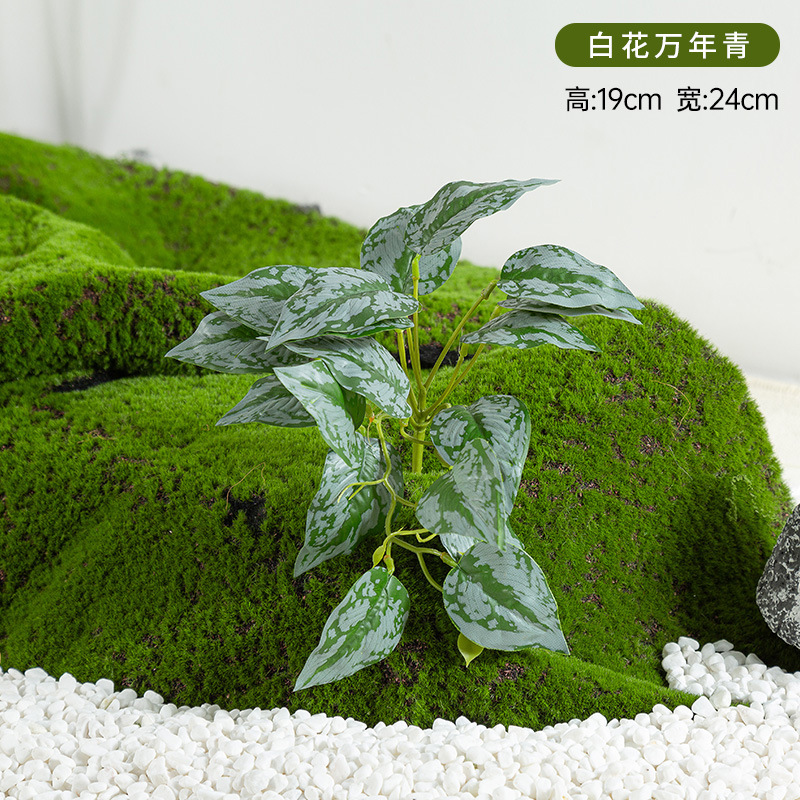 Simulación de plantación y paisajismo verde, materiales de distribución pequeños de todo uso, materiales auxiliares, arreglos florales, helechos, césped falso, decoración de plantas pequeñas, decoración de paisaje image 17