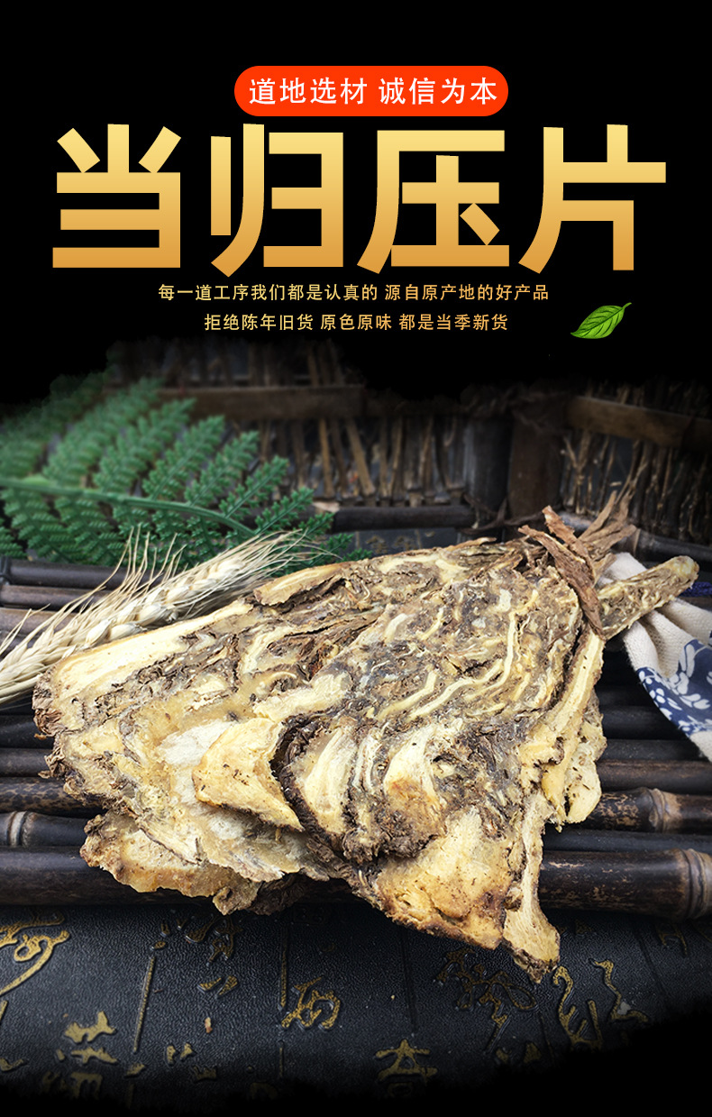 Whole Dang Gui Slices Quan Dang Gui Chinese Angelica Root Bulk Herbal Ingredient for Decoction and Culinary Use key features