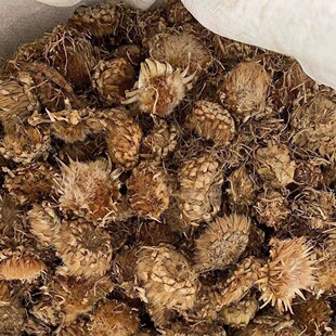 ��ș�� ©�J��1���� ©�J�� ���^�� Ұ�m ������ ���[��