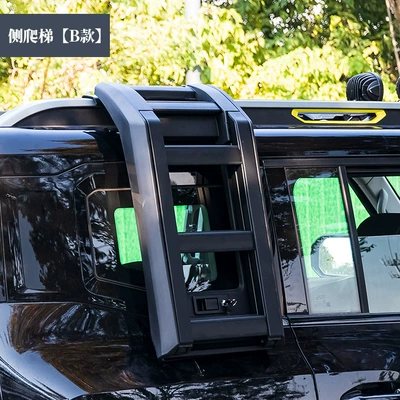 Traveler Side Ladder Modification: Roof rack