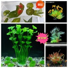 ˮ�� ���ϻ��Gֲ����ˮ����[���[�P�~���쾰ҹ��ݿ羳 ���N�F؛