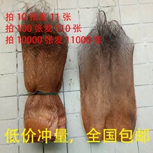 棕树皮棕片棕丝棕榈皮粽叶棕榈树皮棕皮装饰绿萝棒过滤茅草屋