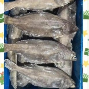����M�ڱ�Ŀ�~���l ��l�~�����~ȥ�K���r Ұ�����~