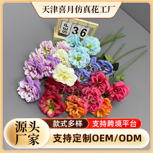 �羳 3�^���~С�W˹��õ�廨��֧���^����õ����滨��Y�bٻ�