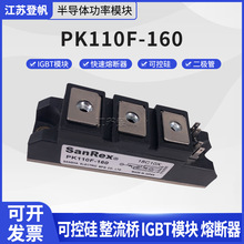 ԭװPK110F-40/60 PK110F-80 PK110F-120/160����ɿع�ģ��