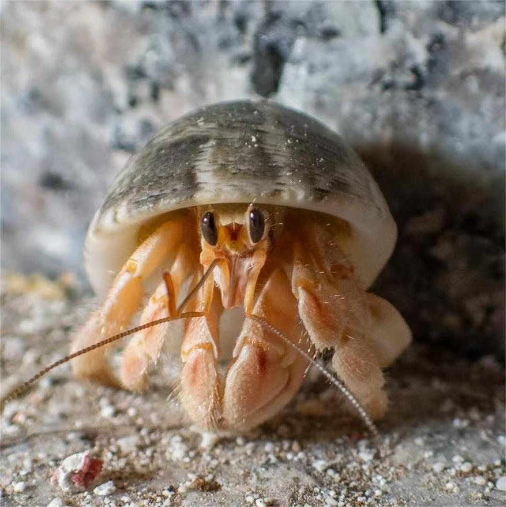 200a4e02-435e-464d-a87b-ebad8a8a4262.jpe