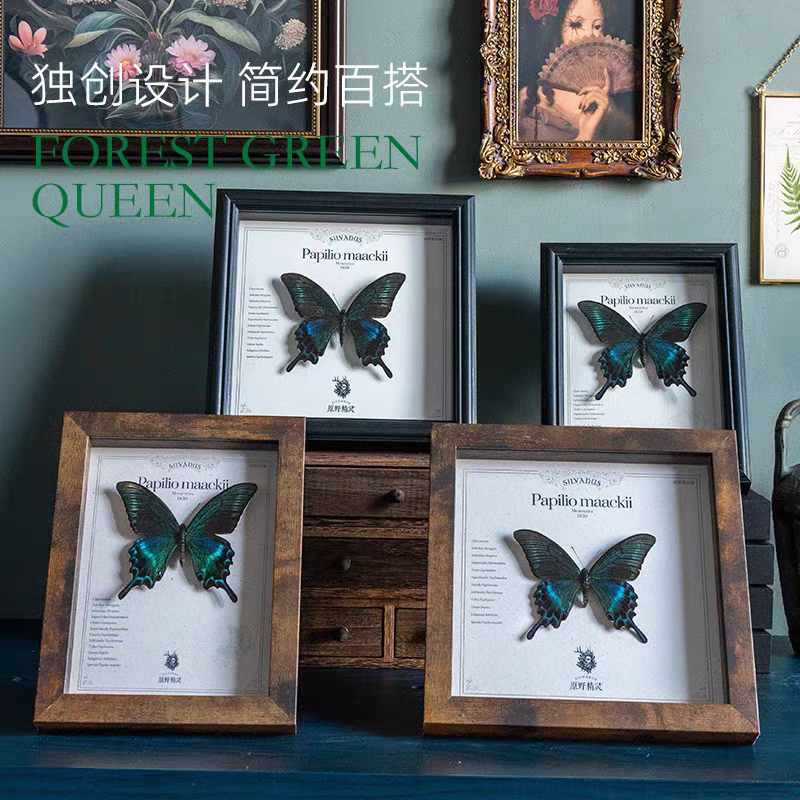 Hollow Three-Dimensional Photo Frame 2cm Deep Walnut Color High-Transparency Glass Butterfly Specimen Display Box DIY Self-Assembled Picture Frame