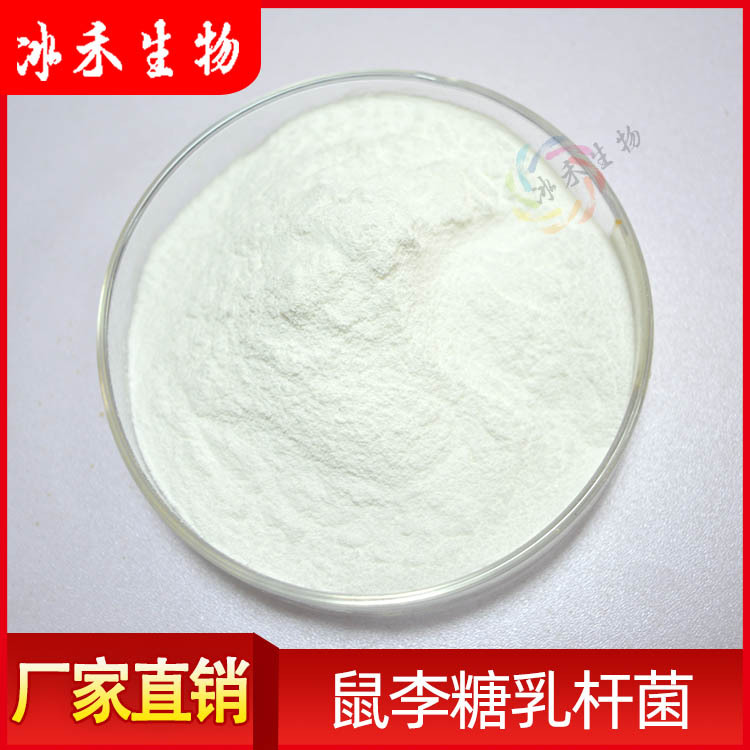 鼠李糖乳杆菌1000亿cfu/g 益生菌冻干粉 食品级 另有50亿 100亿