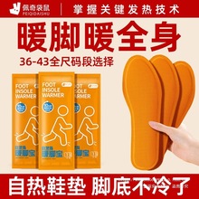 30p󰬲ݰlЬ|԰lЬ|20pů_ůN5p