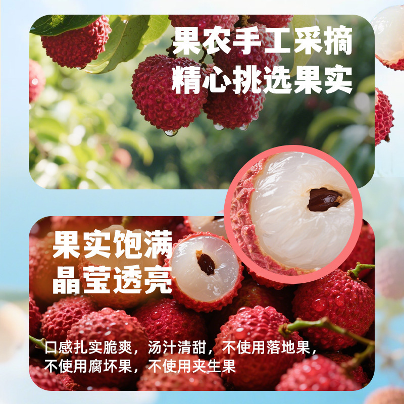 德和糖水荔枝罐头代发新鲜即食水果罐头567g罐装商用批发荔枝满满|undefined