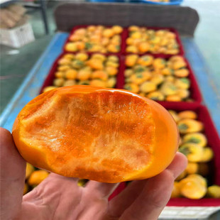 �������Ә��� �G�����Ә� 1-80�������Ә� ��������� �������Ә�