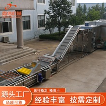 叶菜加工成套流水线设备叶菜类蔬菜清洗杨梅清洗机根茎清洗