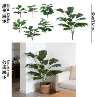 �羳����Gֲɢβ���͏d����ٻ��[����c�쾰�Gɫ��ͩ���������l