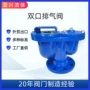 功能双口快速排气排气阀