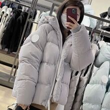 2025Ʒ|Bñ̿zqŮטС׌