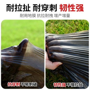 White Mulch Film for Agricultural Insulation and Moisturizing White Mulch Film for Greenhouse Plastic Film Vegetable Seeds for Winter Black Engineering Film