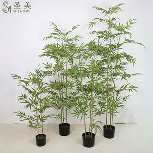 �羳�������W�L�������ɲ��b�[���̈��쾰�Gֲ����������٘�