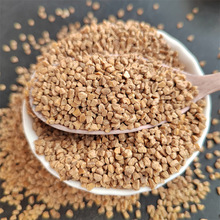 ���S����ˮ̎���ú��Қ� ����ĥ���� 10-20Ŀ ��ˮ�ÞV��Ҏ��ȫ