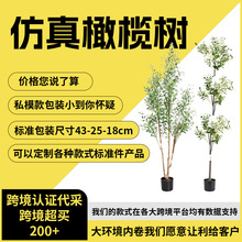 �F؛���Q�ɲ��b�����ϙ�� �羳����Gֲ�ϙ�������҃��쾰�٘�