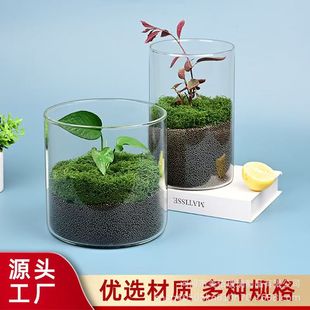 �����޾��^�����k���҄����쾰�[����ƿ�\�҃�ֲ��ˮ�໨ƿ�~��ƿ