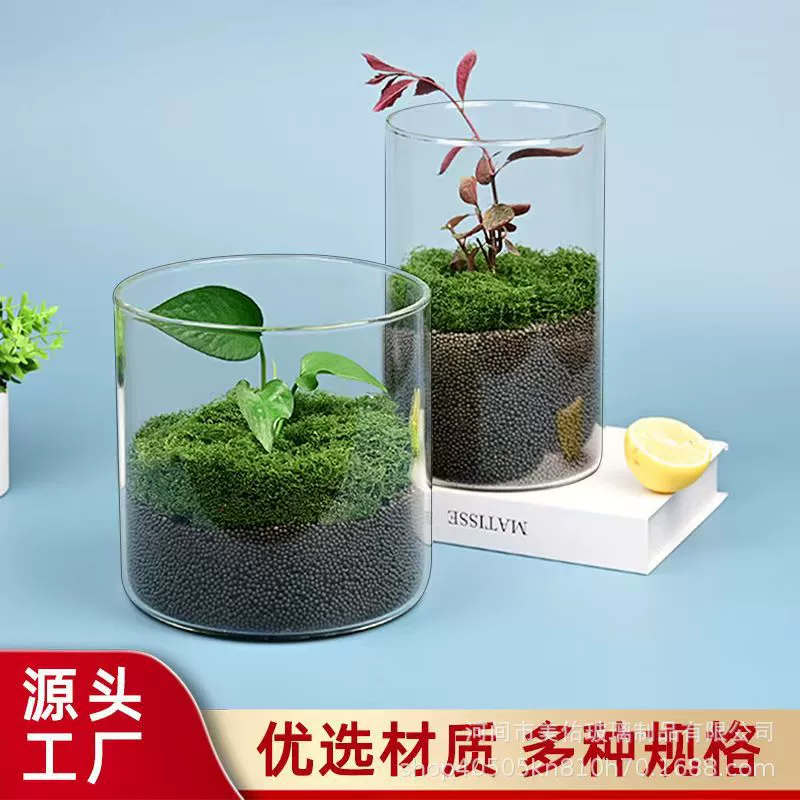 Стеклянная банка для ландшафта, настольная офисная креативная ландшафтная ваза для украшения, ваза для мха, комнатное растение, гидропонная ваза, аквариум, бутылка