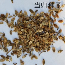 ���w�N�� �ؚw 녚w �����w �����w �ɚw�N�����l