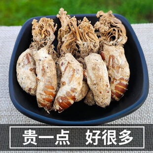 Ұ�����s��500g��Ʒ֪�˻�֪���s���x�����ӷ۽��Q���Ȼ�����؛��