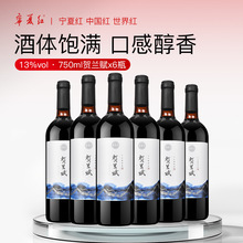 �����R�mɽ�t��ֱ�����a���ѾƳ�ϼ��ɼt�t�����������}