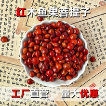 天然红木鱼果菩提手串DIY配饰手串手链挂件打孔成品果壳配饰手作