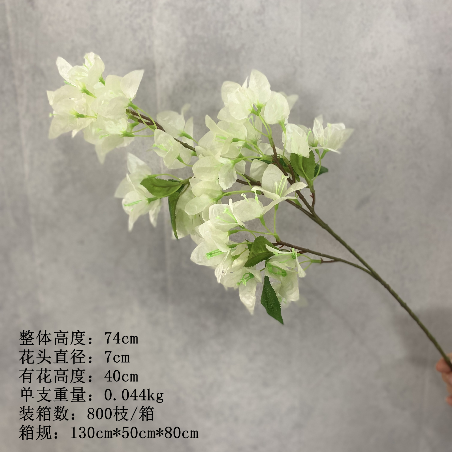 스몰 사이즈 화이트