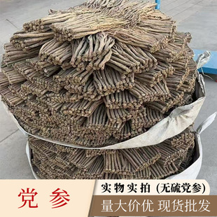 �F؛�������l����r�����C�o���h���֗l�y�h����Ҏ��F؛���l