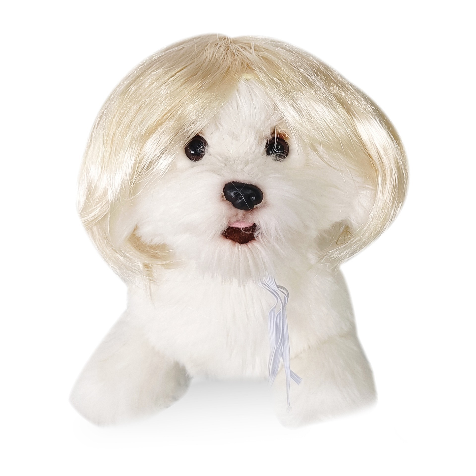 Peluca para mascotas Peluca de perro suministros transfronterizos para mascotas de Halloween joyería para mascotas Pelo Rizado pelo recto Peluca de gato