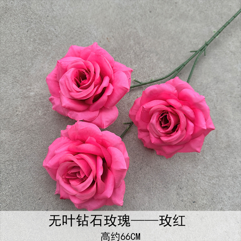 Rosa de diamante sin hoja-2