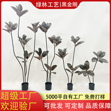 ���ͷ���Gֲ�ڽ�����Ƥ�������҃ȼ٘����l����ֲ��Ҿ�����b�