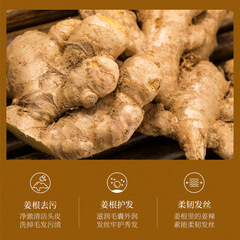 泊泉雅馬油柔順潤澤洗髮露清潔無硅油舒適保濕洗髮水批發