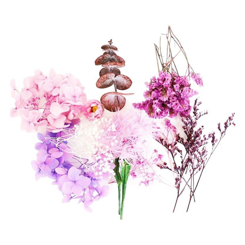 Navidad DIY flor eterna material paquete Hortensia conejo cola hierba flor seca ventilador aromaterapia flor flotante comercio exterior