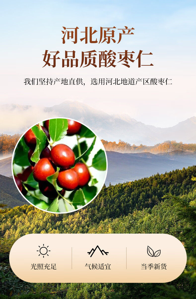 Sour Jujube Seed Suan Zao Ren 500g Dried Ziziphus Seeds for Herbal Tea and Decoction overview